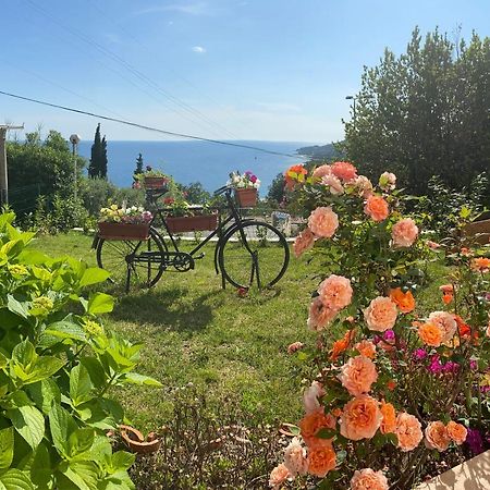 Villa Pergola -Apartment Roko Mlini Esterno foto