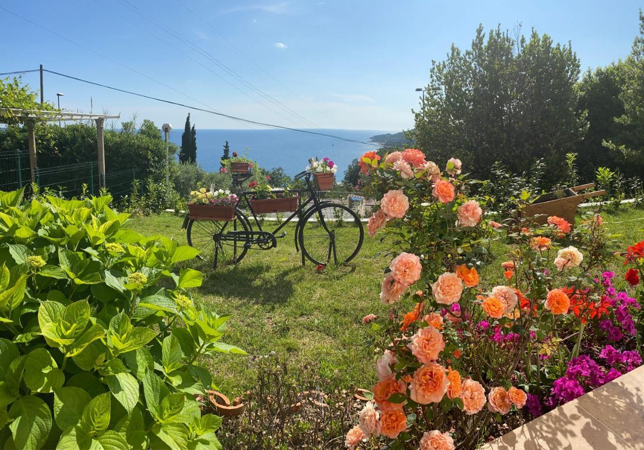 Villa Pergola -Apartment Roko Mlini Esterno foto