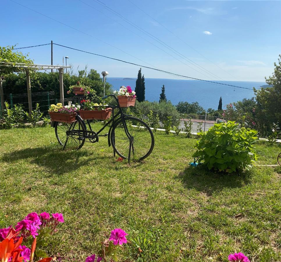Villa Pergola -Apartment Roko Mlini Esterno foto